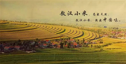 微信截图_20231107083508.png